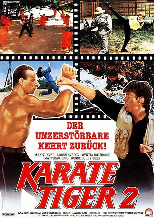 Karate Tiger 2