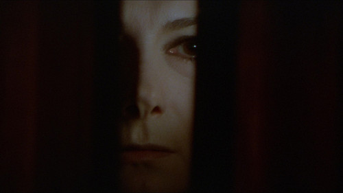 The Black Belly of the Tarantula