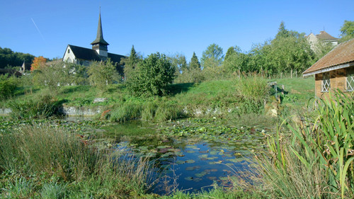In a monastery garden