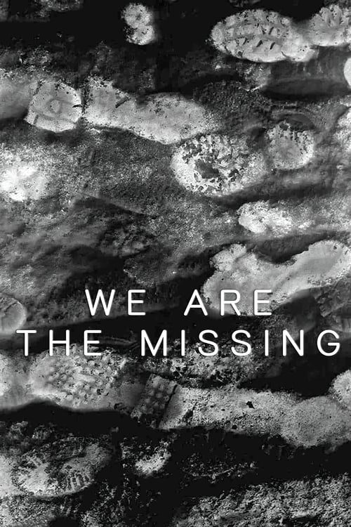 Grootschalige poster van We Are The Missing