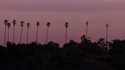 Backdrops