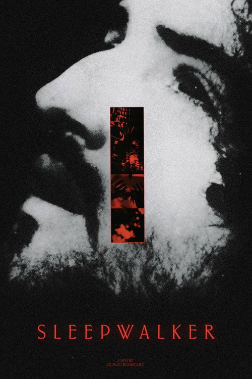 Sleepwalker poster
