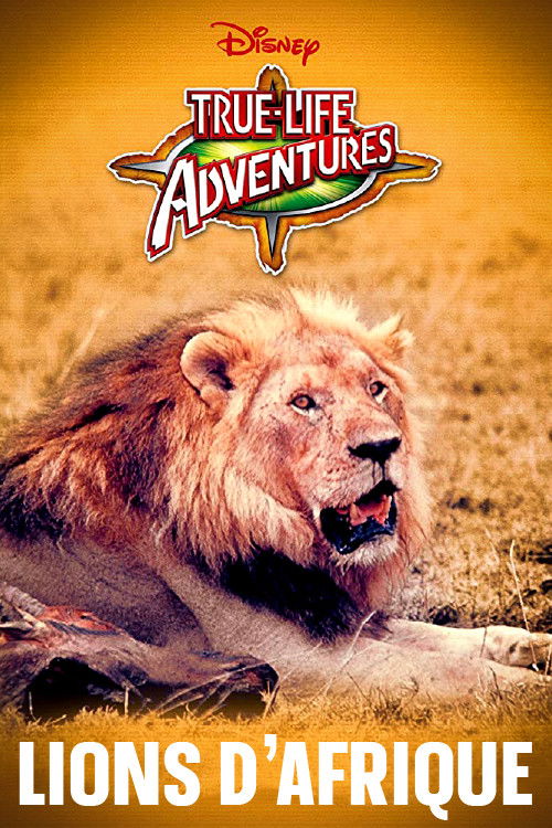 The African Lion poster