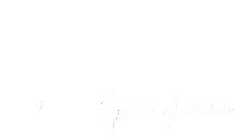 Miyazaki, Spirit of Nature