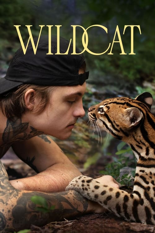 Image Wildcat