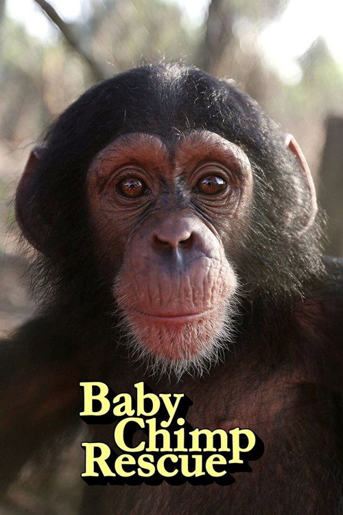 Póster oficial de Baby Chimp Rescue (2020) - Documentary