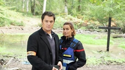 Poster della serie Murders in...