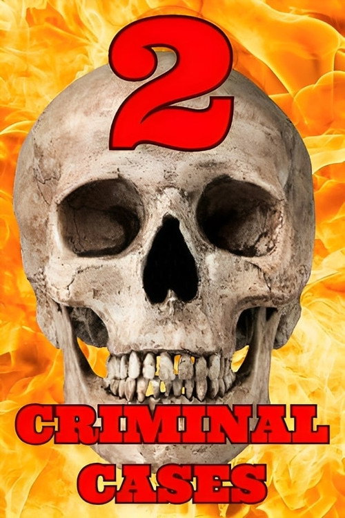 Poster for CRIMINAL CASES 2