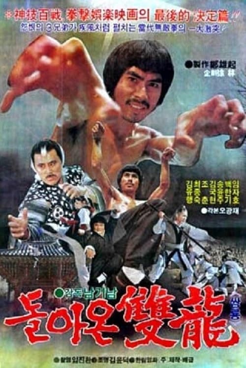 Twin Dragons (1982) poster