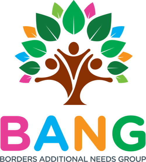 Borders Additional Needs Group