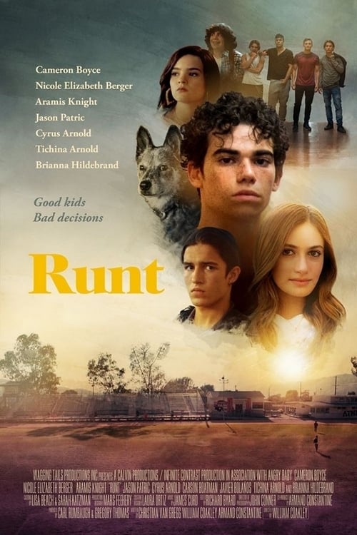 Grootschalige poster van Runt