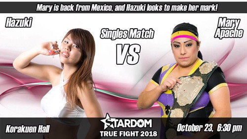 Stardom True Fight 2018 still
