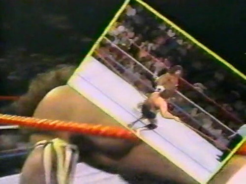 October 8, 1988 - Superstars of Wrestling 110
