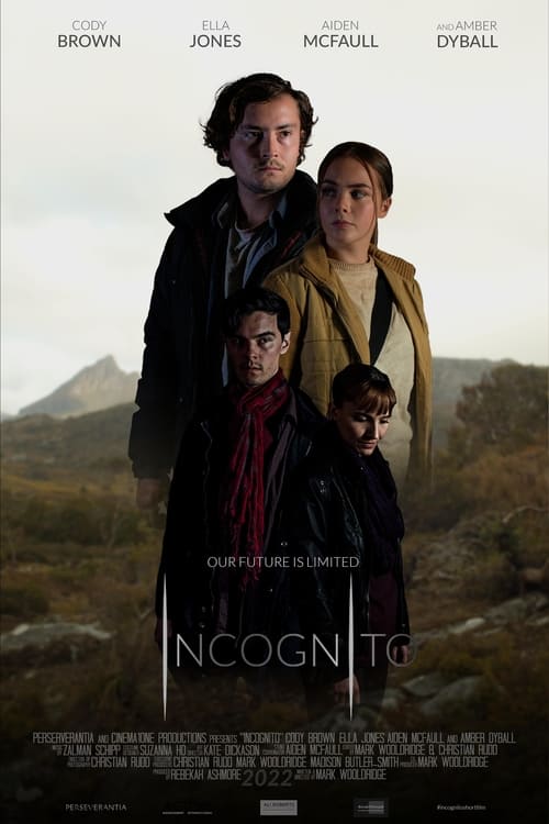 Incognito (2022) poster