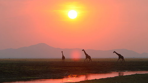 Tanzania's Best Kept Secrets - Season 1 Backdrop Blur