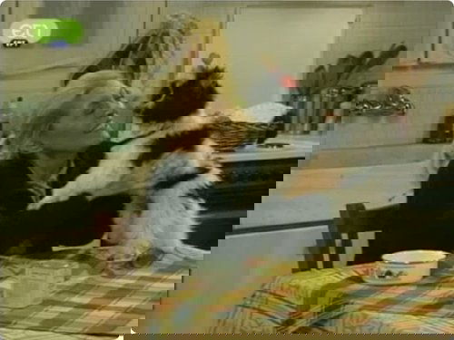 Image de l'épisode 12