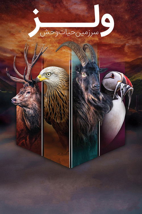 Escena 6 de Wales: Land of the Wild