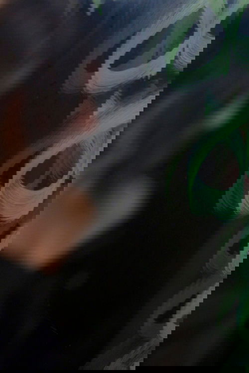 When the Curtain Falls