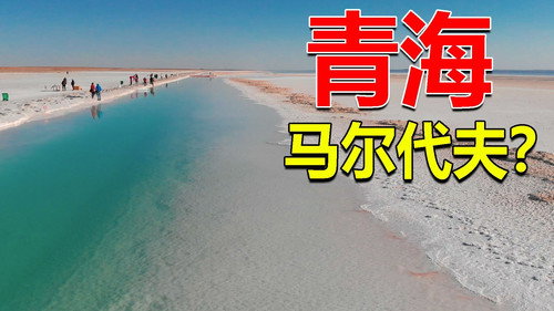 Episode 256