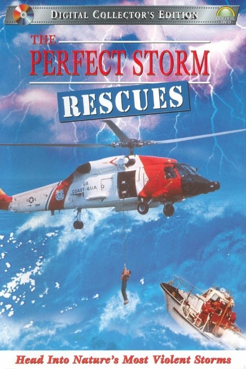 The Perfect Storm: Rescues movie poster player