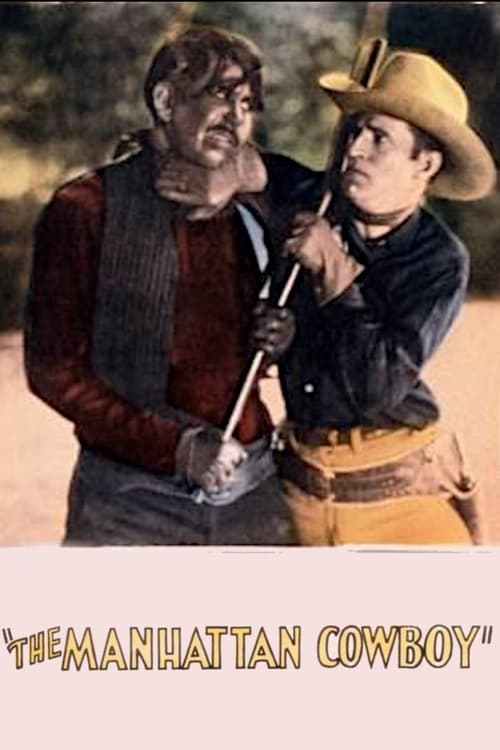 Manhattan Cowboy (1928) poster