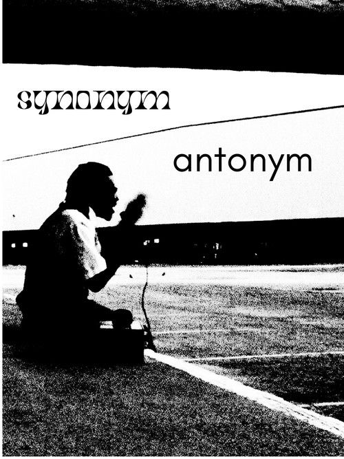 Synonym and Antonym