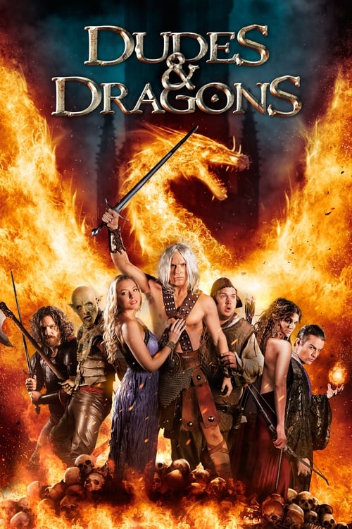 Dudes & Dragons (2015) poster