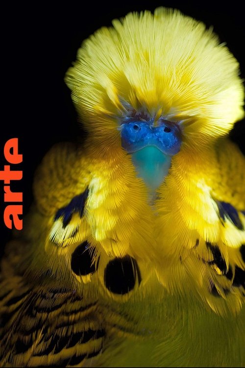 Leuchtende Natur poster