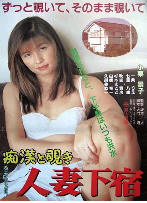 Cartell de 痴漢と覗き　人妻下宿