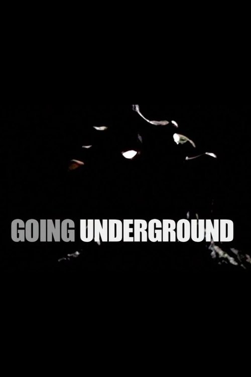 Going Underground