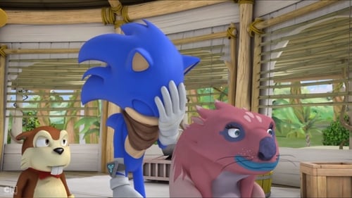 Poster della serie Sonic Boom