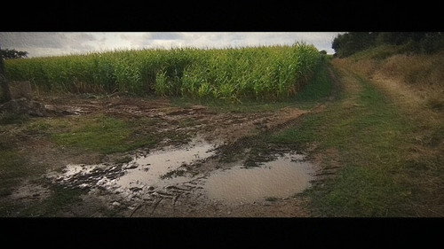 Wandering: The Art of Noticing