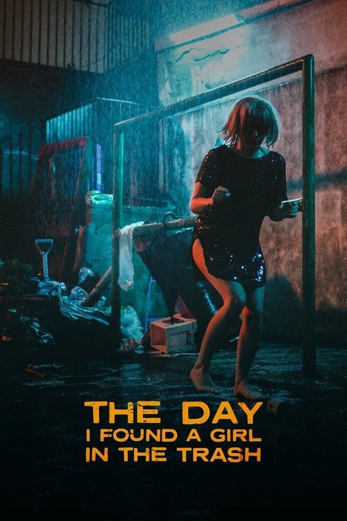 Poster 3