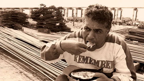 Tim Lopes – Histórias de Arcanjo