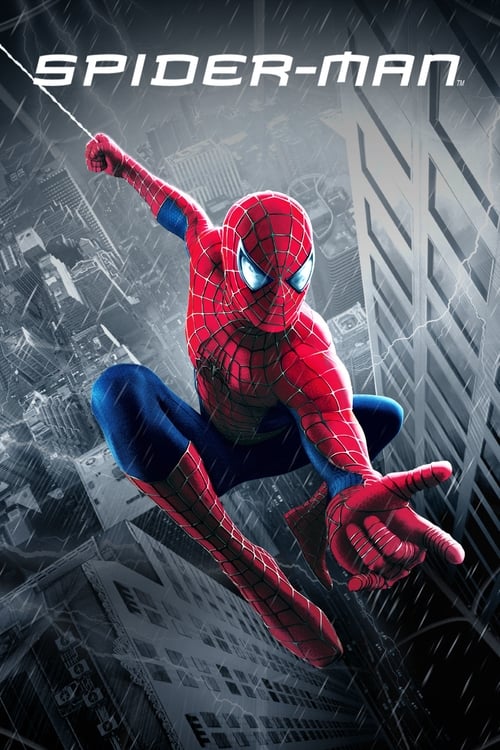 movie review of spiderman