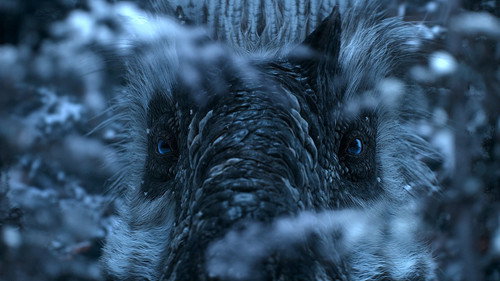 Кадр из Динозавры