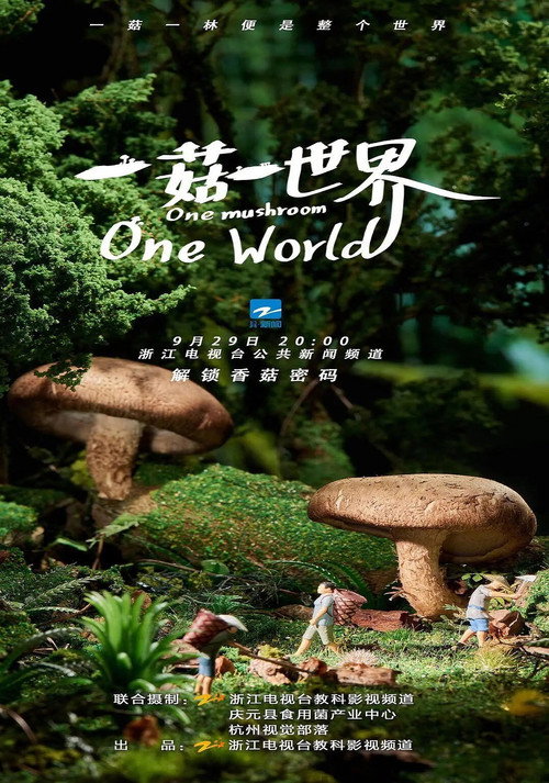 一菇一世界 (2021) poster