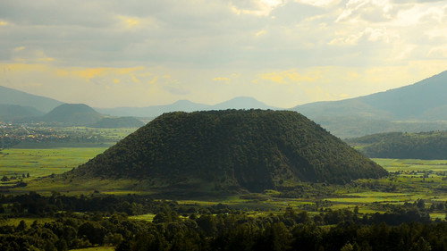 Los árboles mueren de pie Backdrop Blur