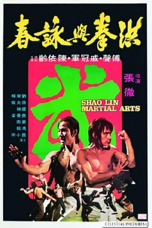 Shaolin Martial Arts poster