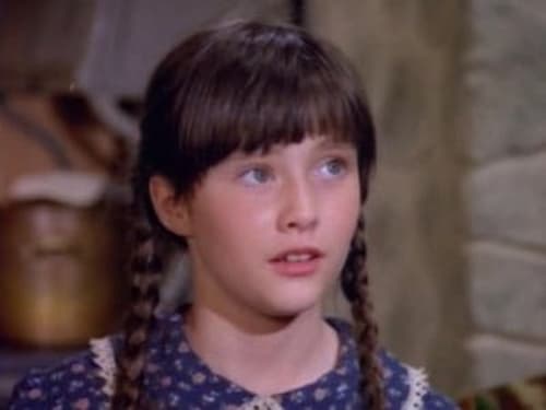 Poster della serie Little House on the Prairie