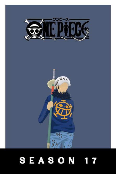 Póster de la temporada 17 de la serie One Piece