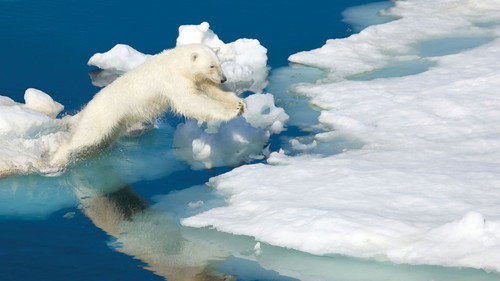 National Geographic: Nature Untamed Bild 4
