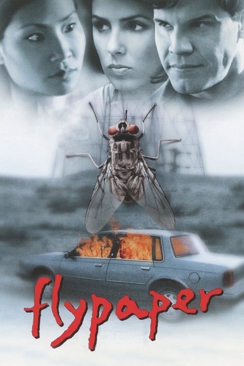 Flypaper (1998) poster
