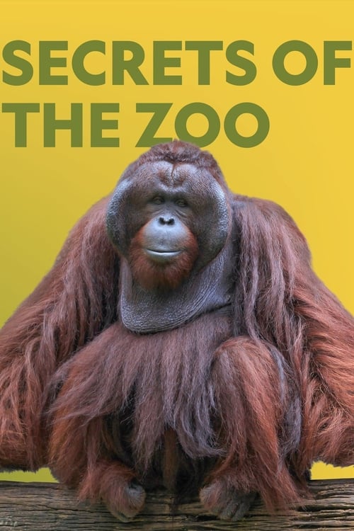 Where to stream Secrets of the Zoo Season 3
