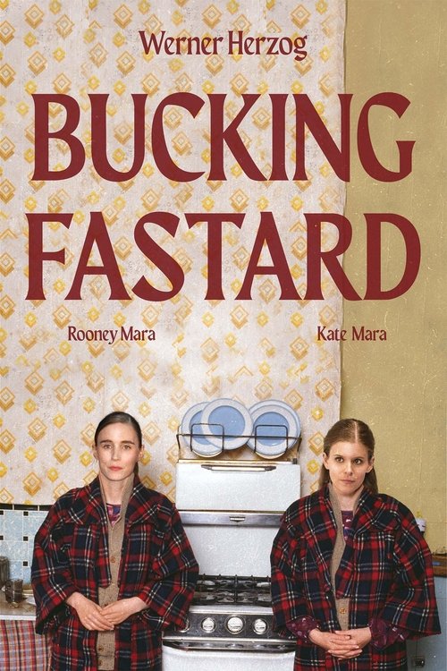 Poster 3