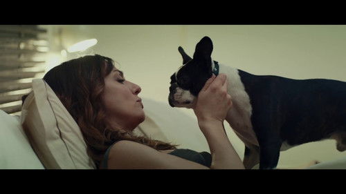 Terapia de Casais para Amantes