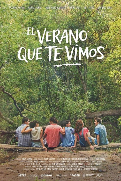 El Verano Que Te Vimos poster