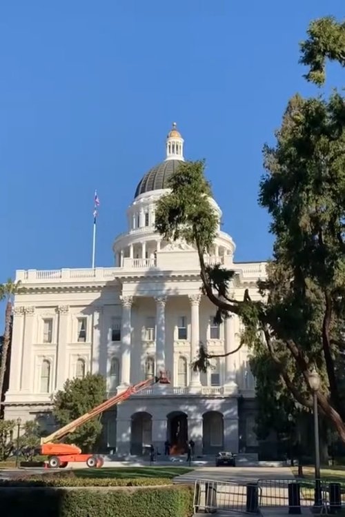 Calamity in the Capital of California