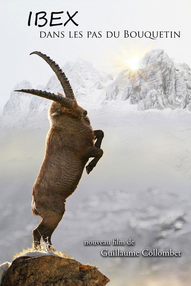 Ibex; In the Footsteps of the Ibex poster