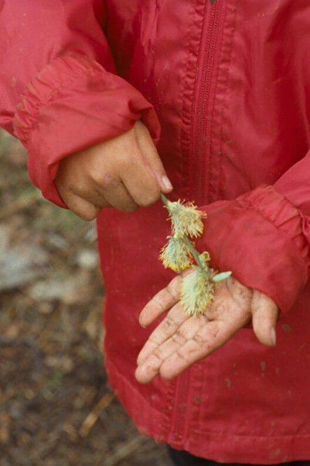 We know a better word than happy poster